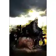 Постер книги Эволюция Хакайна