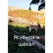 Постер книги Ягненок и шакал