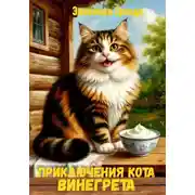 Постер книги Приключения кота Винегрета