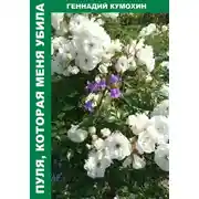 Постер книги Пуля, которая меня убила