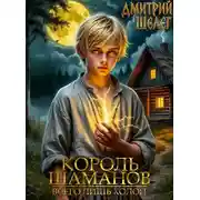 Постер книги Король Шаманов. Всего лишь холоп