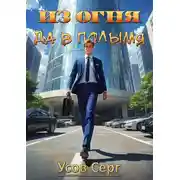 Постер книги Из огня да в полымя