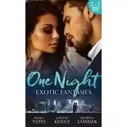 Постер книги One Night: Exotic Fantasies: One Night in Paradise / Pirate Tycoon, Forbidden Baby / Prince Nadir's Secret Heir