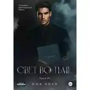 Постер книги Свет во тьме