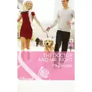 Постер книги The Doctor and Mr. Right