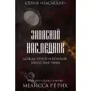 Постер книги Дождь теней и концов. Бонусная глава