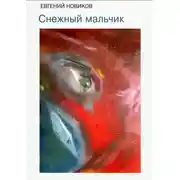 Постер книги Снежный мальчик