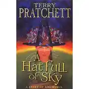 Постер книги Шляпа, полная небес