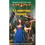 Постер книги И. о. поместного чародея