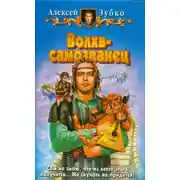 Постер книги Волхв-самозванец