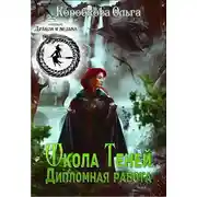 Постер книги Школа Теней. Дипломная работа