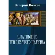 Постер книги Блатные из тридевятого царства
