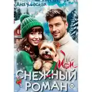 Постер книги Мой снежный роман