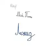 Постер книги Леонид