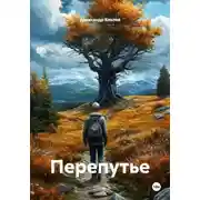 Постер книги Перепутье