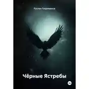 Постер книги Чёрные Ястребы