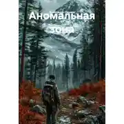 Постер книги Аномальная зона