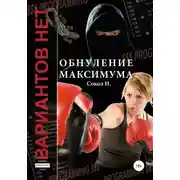 Постер книги Обнуление максимума