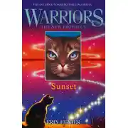 Постер книги SUNSET