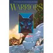 Постер книги TWILIGHT