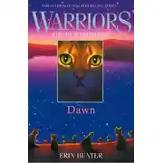 Постер книги DAWN