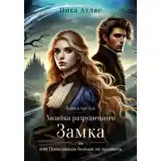 Постер книги Хозяйка разрушенного замка, или попаданкам больше не наливать. Книга третья