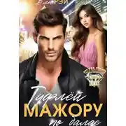 Постер книги Туфлей мажору по балде