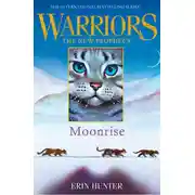 Постер книги MOONRISE