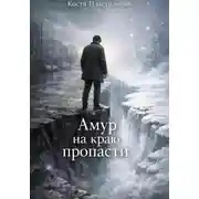 Постер книги Амур на краю пропасти
