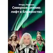Постер книги Северное сияние: лифт в блаженство