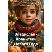 Постер книги Владислав – Хранитель Нового Года