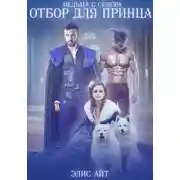 Постер книги Ведьма с Севера: отбор для принца
