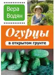 Вера Водян - Огурцы в открытом грунте