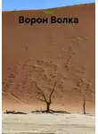 Yokk - Ворон Волка