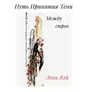 Постер книги Путь Принятия Тени. Между строк