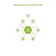 Постер книги Business Intelligence (BI)