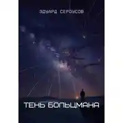 Постер книги Тень Больцмана