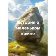 Постер книги История о маленьком камне