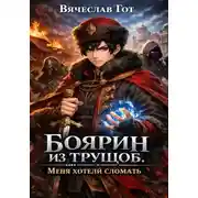 Постер книги Боярин из трущоб. Меня хотели сломать