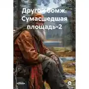 Постер книги Другой бомж. Сумасшедшая площадь-2