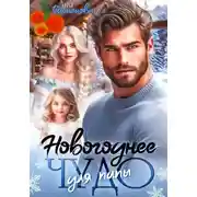 Постер книги Новогоднее чудо для папы