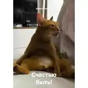 Постер книги Счастью быть!