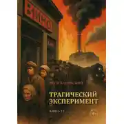 Постер книги Трагический эксперимент. Книга 13