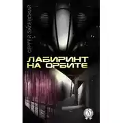 Постер книги Лабиринт на орбите