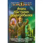 Постер книги Ангел быстрого реагирования