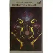 Постер книги Истребитель ведьм