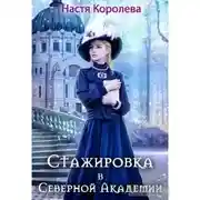 Постер книги Стажировка в Северной Академии (СИ)