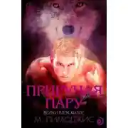 Постер книги Приручая пару (ЛП)