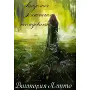 Постер книги Академия Магических исследований (СИ)