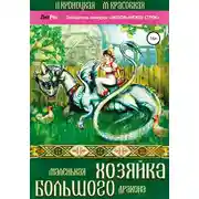 Постер книги Маленькая хозяйка большого дракона